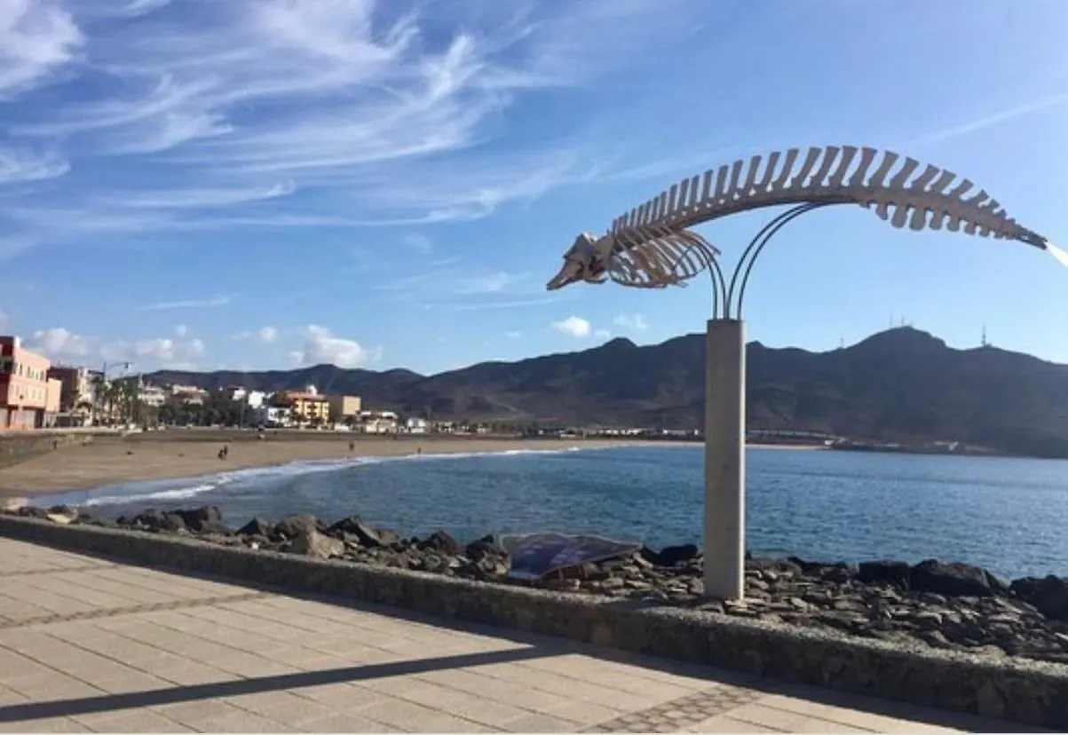 Paradise Apartament Apartment Gran Tarajal